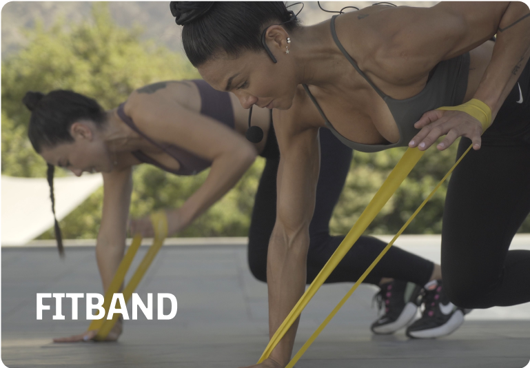 fitband