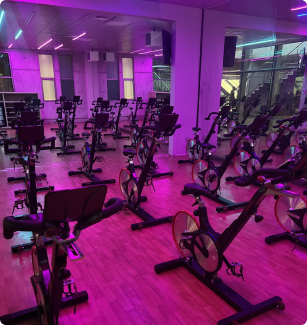 CYCLE STUDIO